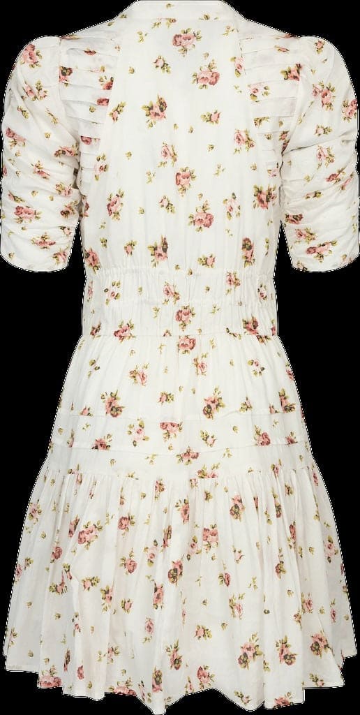 Fabienne Mini Dress Rose