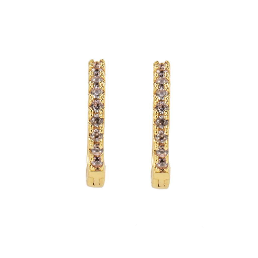 Emilia Small hoops Brown