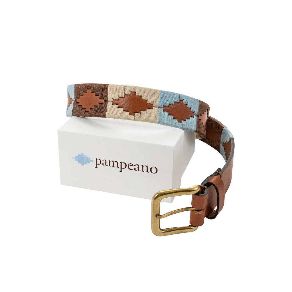 Pampeano belt Desierto