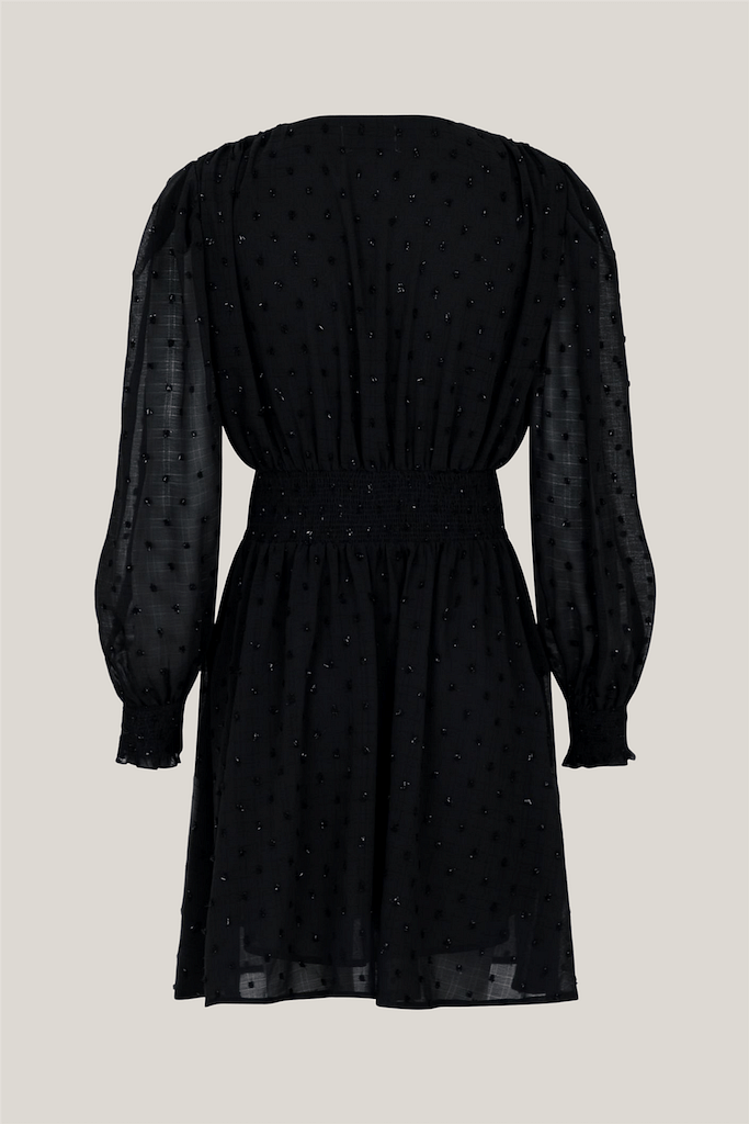 Lecia Glitter Dot Dress