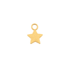 Emilia Ella charm Gold