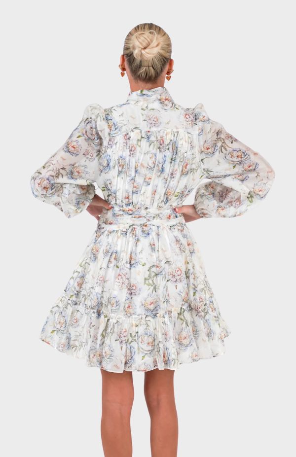 Vanity Print Dress