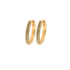 Emilia Small stone covered hoops Mint