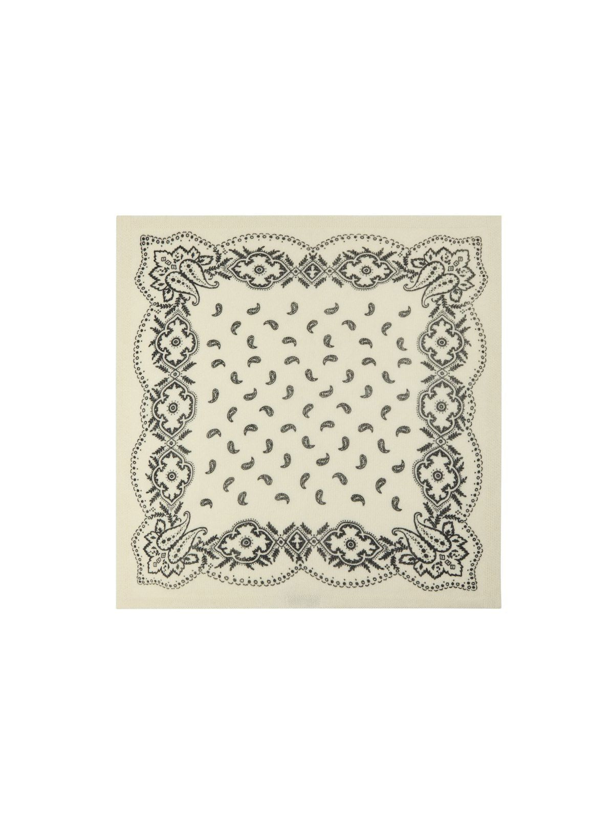 Adelina Paisley Knit Scarf