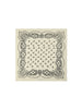 Adelina Paisley Knit Scarf