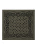Adelina Paisley Knit Scarf