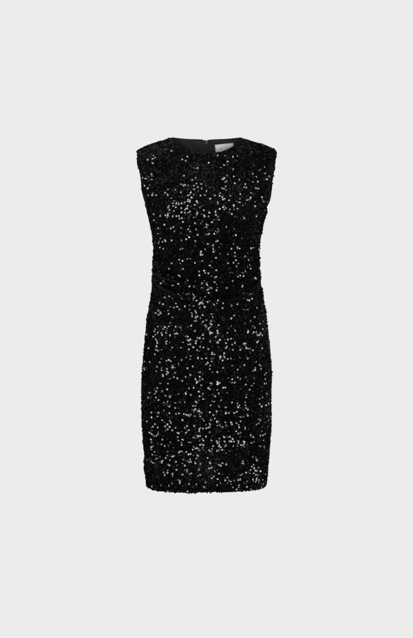 Fanya Velvet Sequins Dress
