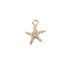 Beatriz Charm
